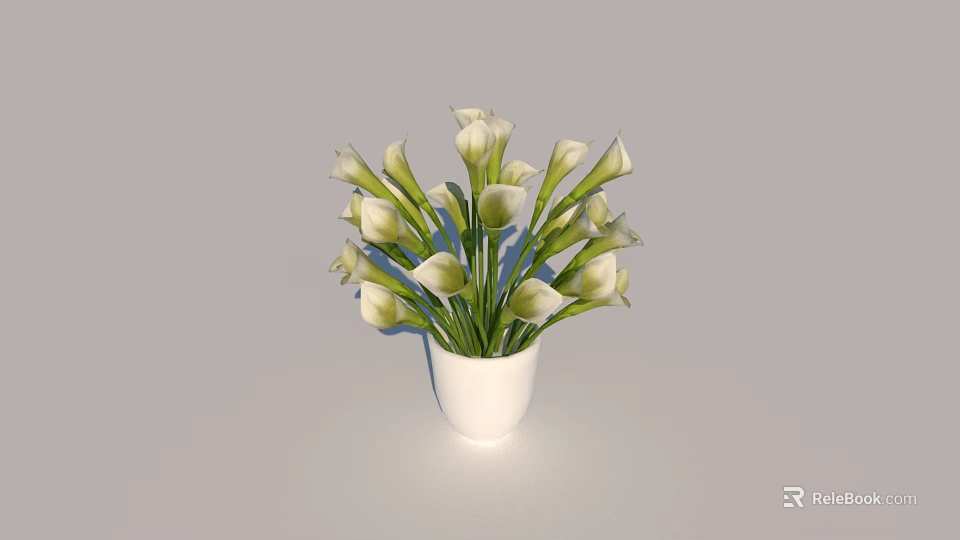 Elegant White Vase with White Calla Lilies and Green Stems in Simple Arrangement 3d model 