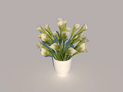 Elegant White Vase with White Calla Lilies and Green Stems in Simple Arrangement 3d model