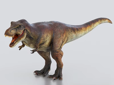 Realistic Tyrannosaurus Rex Dinosaur 3D Model Display On White Background 3d model