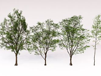 Modern Tree Landscape Tree 3d model