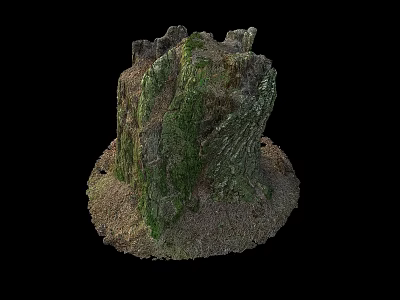 Moss Covered Wooden Stump With Stone Base And Natural Textured Surface 3d model