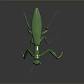 Detailed Green Mantis 3D Model With Long Antennae And Yellow Legs