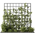 Green Plant Wall With Grid Structure And Lush Foliage Coverage 3d model