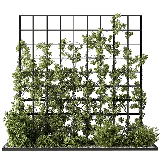 Modern Vine Wall Creeper Plant Wall 3d model