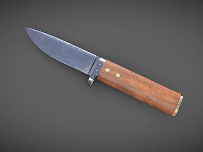 Practical Kitchen Knife With Metal Blade And Wooden Handle For Cooking 3d model