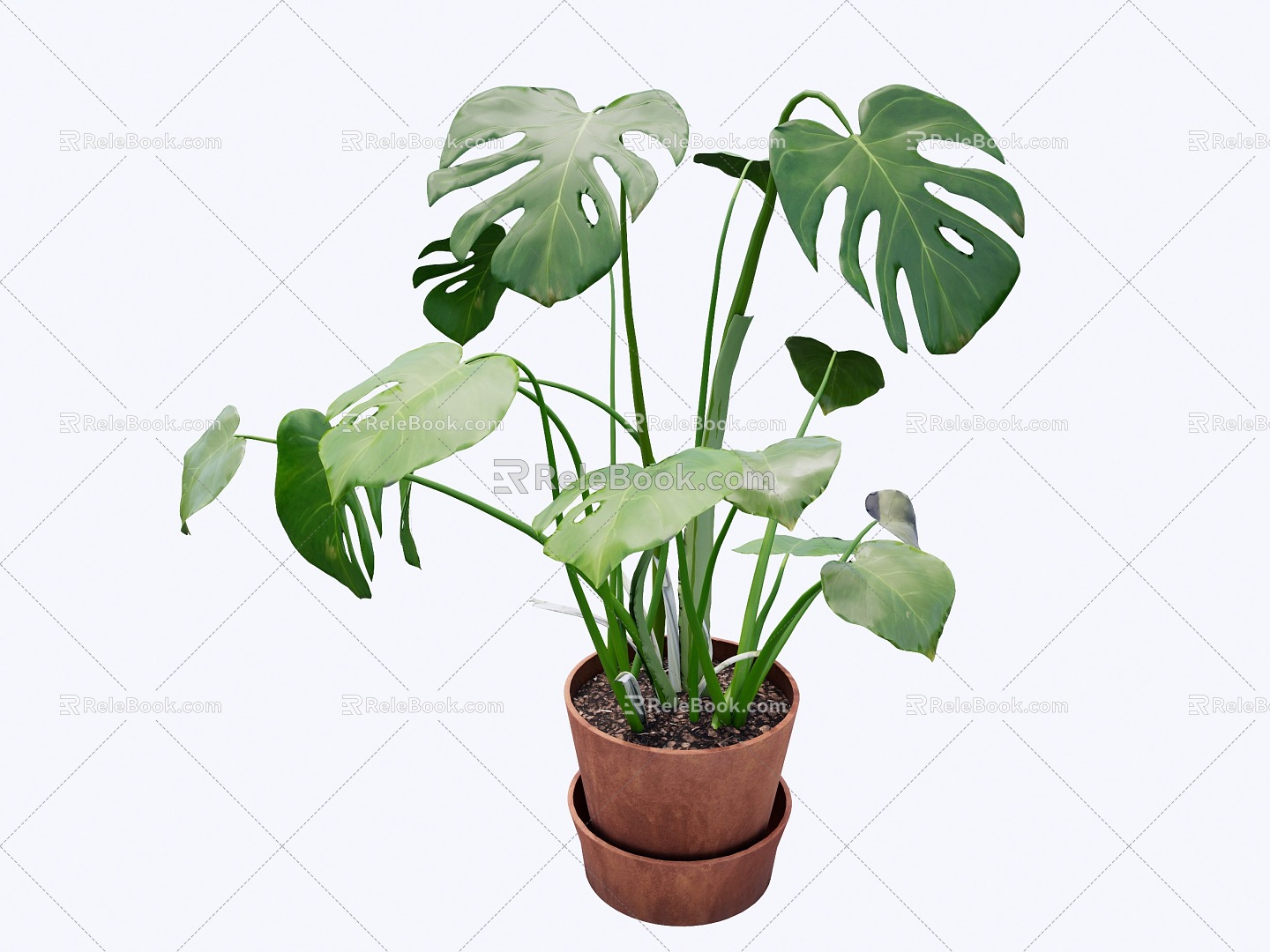 indoor potted plant 3d model