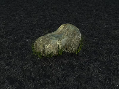 Natural Stone Lying on Dark Soil With Green Grass Growing Around 3d model