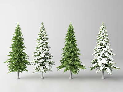 Four Coniferous Trees With Green And Snow Covered Branches On White Background 3d model