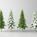 Four Coniferous Trees With Green And Snow Covered Branches On White Background