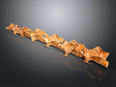 Highly Detailed Vertebrae Anatomical Structure With Realistic Bone Texture And 3D Rendering 3d model