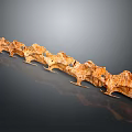 Highly Detailed Vertebrae Anatomical Structure With Realistic Bone Texture And 3D Rendering