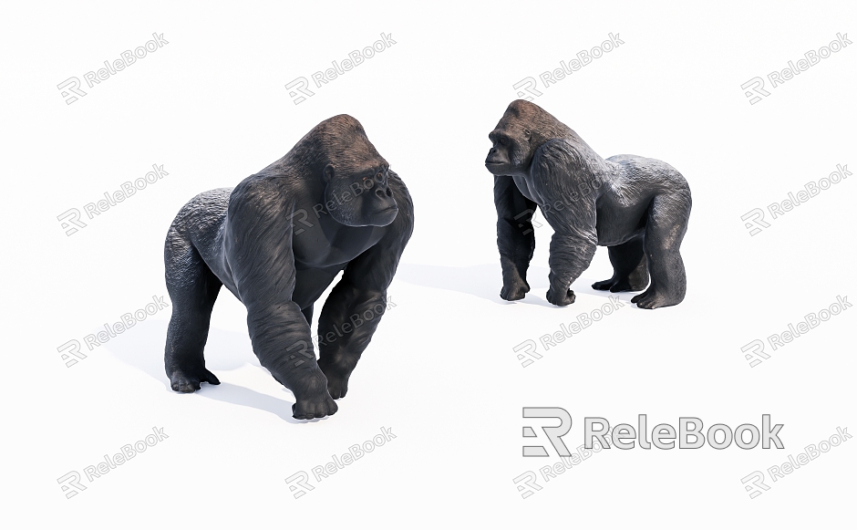 primate gorilla model