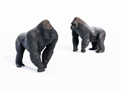 Realistic Gorilla Statues Standing On White Background In Studio 3d model