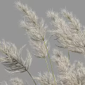 White Feathery Grass Bonsai Potted Plant with Green Yellow Leaves in Gray Square Concrete Pot
