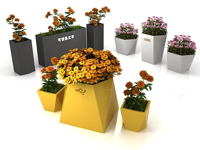 Garden Decorations Featuring Colorful Flower Pots With Blooming Flowers In Various Shapes 3d model
