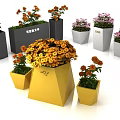 Garden Decorations Featuring Colorful Flower Pots With Blooming Flowers In Various Shapes