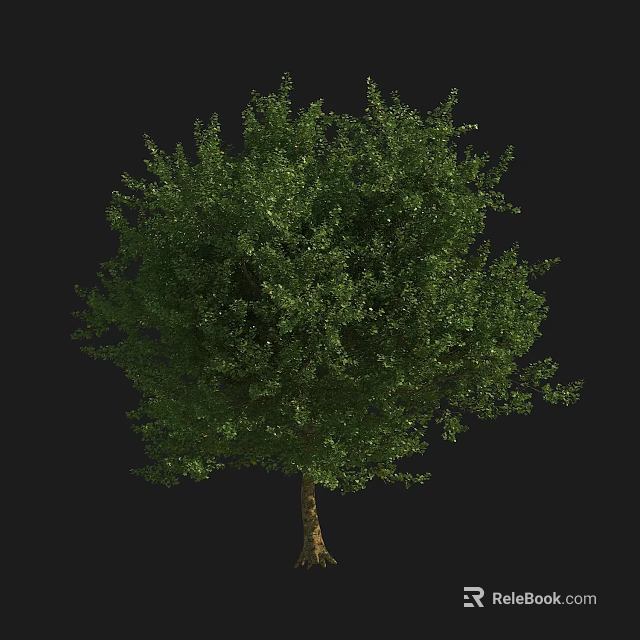 Isolated Lush Green Arbor With Dense Foliage Brown Trunk And Black Background 3d model 