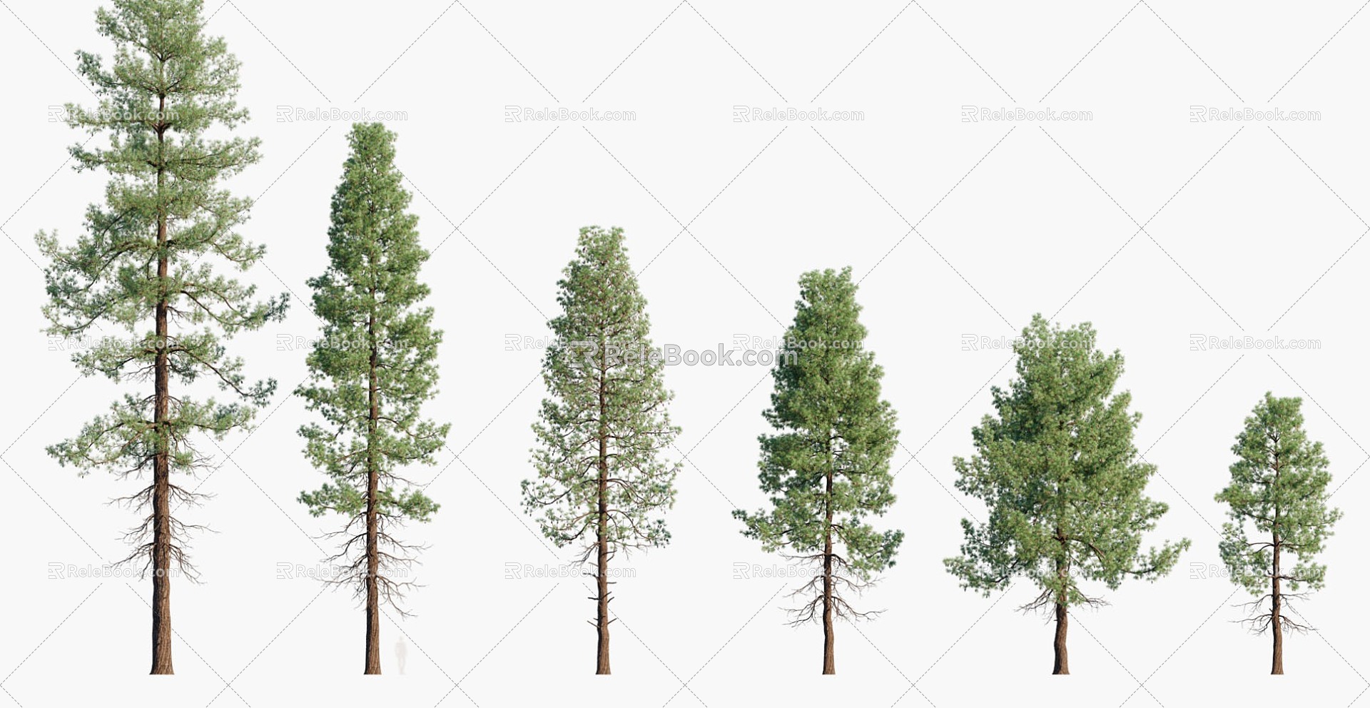 trees big trees pine trees landscape trees 3d model