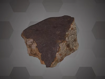 Natural Wood Stone Material Featuring Rough Surface and Distinctive Texture for Interior Design 3d model