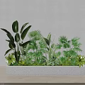 Indoor Potted Plants In Rectangular Concrete Planter With Diverse Green Foliage 3d model