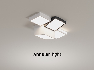 Ceiling lamp lighting appliances simple ceiling lamp furnishings model