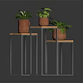 Three Potted Green Leafy Houseplants On Wooden Top Metal Leg Plant Stands