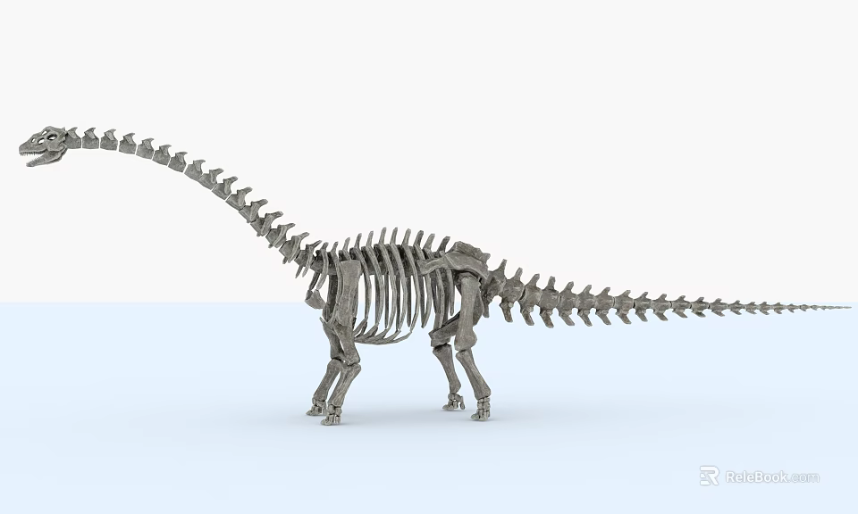 Public Museum Exhibit Featuring Complete Dinosaur Skeleton Fossil Display Structure 3d model 