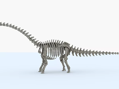 Modern Fossil Bleosaurus 3d model