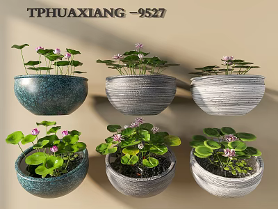 Garden Ornaments With Various Textured Pots Green Leaves And Purple Flowers 3d model