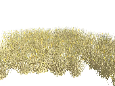 Golden Dense Grass Field With Natural Green And Yellow Foliage Growth 3d model
