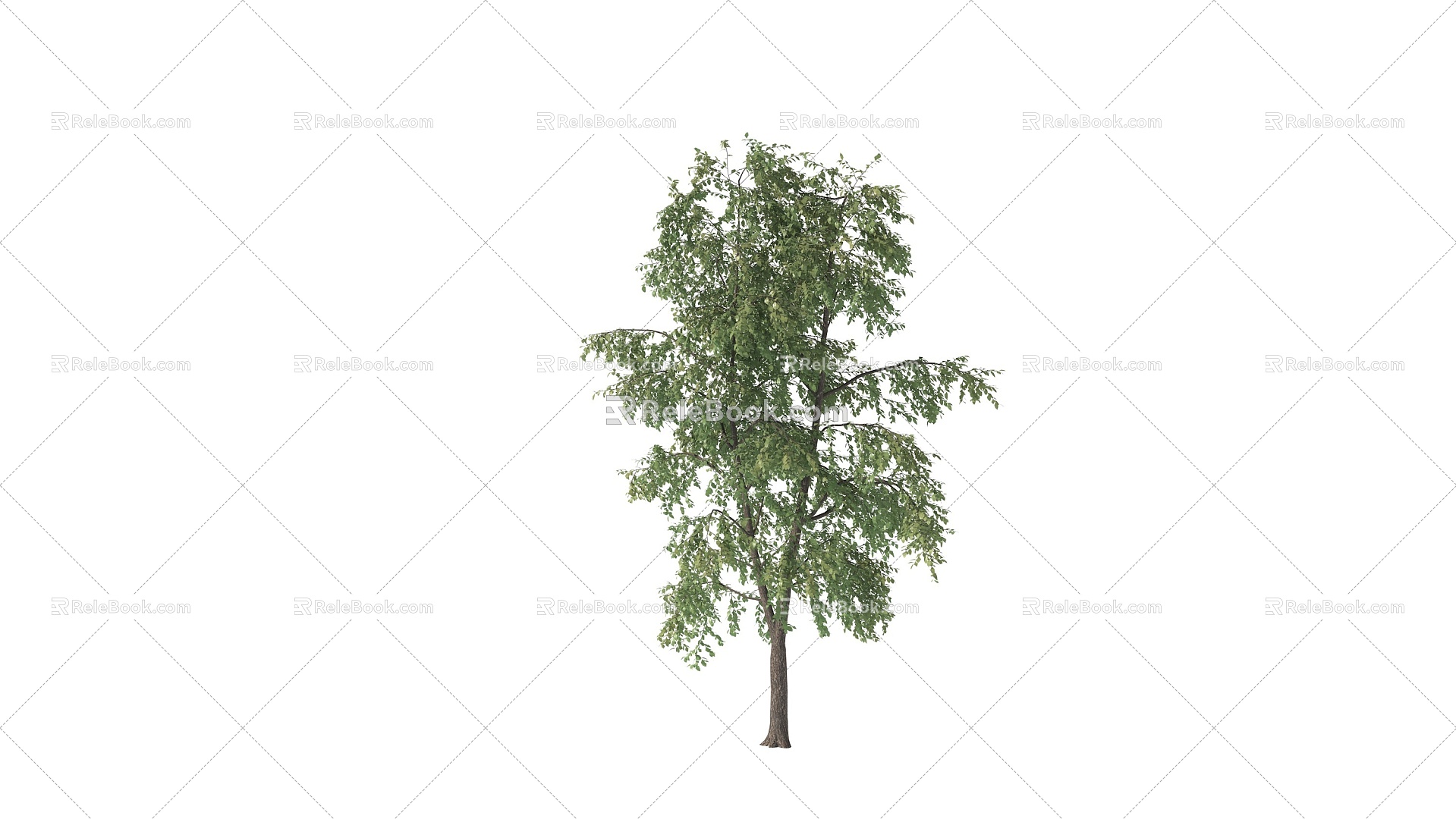 Tree Moving Tree Wind Blowing Tree Moving Tree Dynamic Tree Landscape Tree Sophora Tree Poplar Tree Acacia Tree model