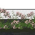 Beautiful Pink Flowers Climbing On Wire Mesh Fence With Green Grass And Woven Flower Basket