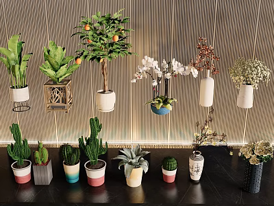 Assorted Bonsai And Potted Plants With Hanging Planters And Colorful Pots 3d model
