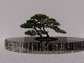 Modern Pine Waterscape Tree Pool Pohan Pine 3d model