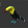 Toucan Isolated On Gray Background With Red Green Yellow Beak Blue Feet And Black Body