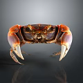 Shiny Vibrant Crab With Orange Claws And Purple Sections On Dark Background