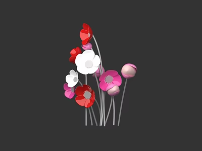 Colorful Floral Arrangement With Red White Pink Blooms On Black Background 3d model