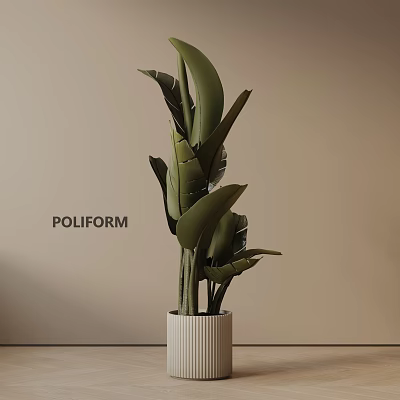 Large Green Potted Plant With Broad Leaves And White Striped Pot For Indoor Decor 3d model