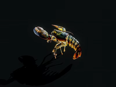 Colorful Lobster Close Up View Against Black Background With Vibrant Shell Details 3d model