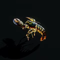 Colorful Lobster Close Up View Against Black Background With Vibrant Shell Details