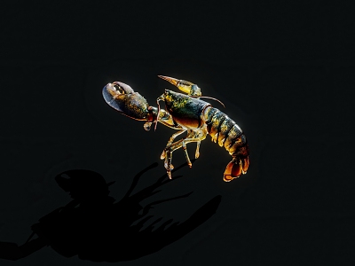 aquatic animal lobster 3d model