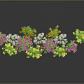 Colorful Garden Flowers with Pink Yellow White Blooms in Wavy Arrangement on Dark Background