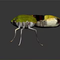 Vibrant Green Yellow Black Insect With Transparent Wings On Dark Background