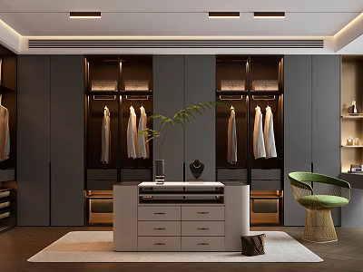 Modern Luxury Walk in Closet Gray Cabinets White Drawer Counter Green Chair Plant Ambient Lighting 3d model