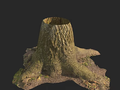 Rustic Wood Stump With Exposed Roots And Stone Accents In Natural Environment 3d model