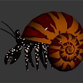 Aquatic Hermit Crab Displaying Orange Brown Striped Shell Long Antennae Spotted Legs On Shiny Background