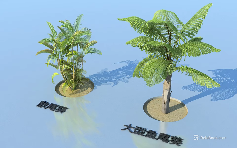 Areca Palm and Large Fish Tail Palm Tropical Green Plants with Lush Leaves 3d model 