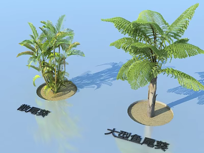 Areca Palm and Large Fish Tail Palm Tropical Green Plants with Lush Leaves 3d model