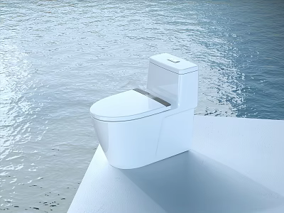 Clean Modern White Toilet With Serene Water Surface Background On Platform 3d model