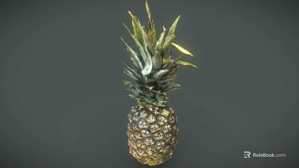 Fresh Juicy Ripe Pineapple Tropical Fruit With Green Leaves Isolated On Dark Background 3d model 